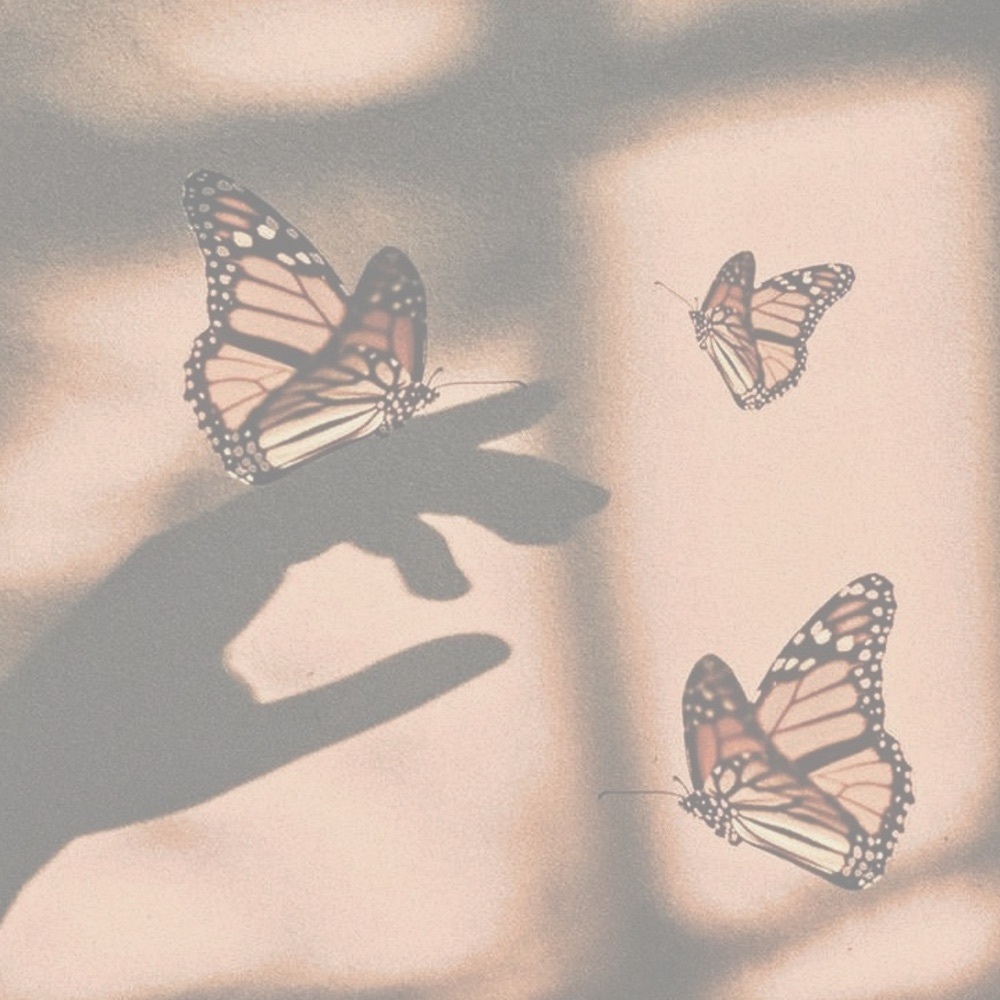 white butterfly tee ᰔ fairy core